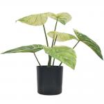 Green Artificial Potted Floor Plants For Garden Philodendron Birkin for sale