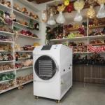 Freeze Dryer Machine Vegetable Freeze Dryer Fish Freeze Dryer Meat Freeze Dryer Machine for sale