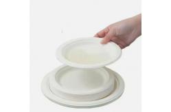 China Round 6 Inch Sugarcane Pulp Plates Sugarcane Compostable Plates Sustainable supplier