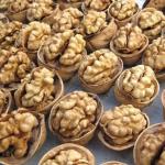 Wholesale high-quality organic Xinjiang walnut kernel 185 paper shell walnut kernel in bulk Amazon’s best-selling products for sale
