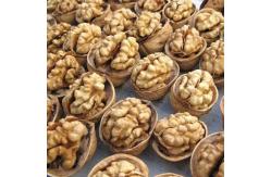 China Walnut wholesale price paper shell walnut thin shell Xinjiang walnut washed 185 walnut supplier
