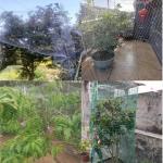 Farm And Orchard Knotted Anti Bird Net With Customers Request