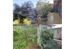 China Farm And Orchard Knotted Anti Bird Net With Customers Request supplier