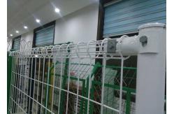 China 5mm 6ft White Double Loop Wire Mesh Fence Welded supplier