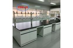 China OEM ODM Chemistry Lab Bench Importers Steel Wood Material for Experiments supplier