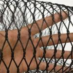 2.0mm Black Flexible Stainless Steel Cable Mesh Anti Corrosive Anti Rust For Aviary Zoo Mesh for sale