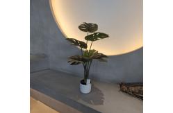 China 70cm Artificial Monstera Tree Artificial House Plants For Indoor / Outdoor supplier