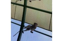 China Stainless Steel Woven Wire Rope Mesh Net Bird Aviary Zoo Enclosure Slope Protection supplier