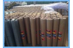 China 1/2 Inches Bwg21 Galvanised Steel Mesh Panels Platic Film Packing Aging Resistant supplier