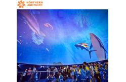 China 3200 Lumen VR Dome Projection Immersive Rear Projection Dome supplier