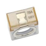 M8 Hole Car Battery Terminal Fuse 75A for sale