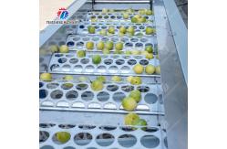 China 2025 Silver Fruit And Vegetable Processing Line for Processing supplier