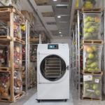 SUS 304 Household Vacuum Freeze Dryer Lab Freeze Dryer PLC Control system