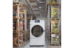China SUS 304 Household Vacuum Freeze Dryer Lab Freeze Dryer PLC Control system supplier