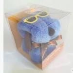 Biodegradable Plastic Sheet Cake Gift Folding PET Plastic Packaging Box