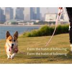Mesh Dog Leash Training Dog P Chain Flush Adjustable Dog Leash
