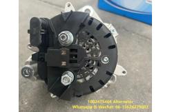 China Generator 1002475466 WEICHAI Engine Parts Alternator Assembly Weichai Alternator supplier