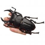 OEM factory custom Lifelike Model Simulation Insect Toy Nursery Teaching Aids Joke Toys for sale