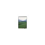 LS052T1SX02 5.2 inch 1080*1920 LCD screen For Mobile Phone for sale