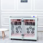 Professional Pet Dryer Cage CE Ukda Dog Dryer Room With Alarm for sale