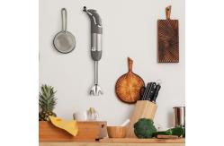 China 800 watts kitchen handheld variable speed multi-purpose immersionelectric hand stick blender supplier