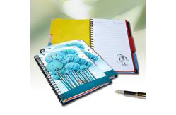 China Custom A4/A5/A6 3D Lenticular Notebook For Children CMYK Offset Printing supplier