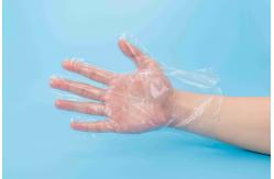 China Non Toxic Disposable Transparent LDPE / HDPE Gloves Odorless For Food Preparation supplier