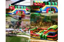 China Multi Adult Jumping Inflatable Amusement Park Bouncy Castle Slide supplier