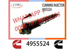 China QSK19 Neutral fuel injector Y431K05420 F00BL0J019 2867149 2882079 4964170 4918073 4955524 4964173 supplier