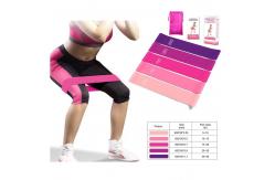 China 5pcs Exercise Resistance Bands 600*50*0.35mm For Home Fitness supplier