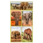 Rectangle Adhesive 3D Lenticular Stickers For Children's Book PET/PP Printing