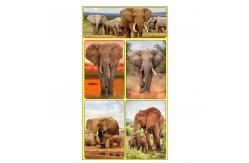 China Rectangle Adhesive 3D Lenticular Stickers For Children's Book PET/PP Printing supplier