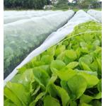 White 50 Mesh 5m Insect Screen For Greenhouse Anti mosquito screen