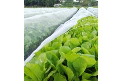 China White 50 Mesh 5m Insect Screen For Greenhouse Anti mosquito screen supplier