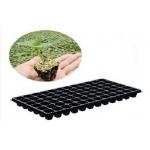 Tomato Grow Plant 200 Cell Seed Trays Rectangle Nursery Trays for sale