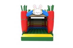 China Carrot Pillar Inflatable Small Jumping House Indoor Palyground supplier
