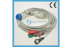 China Datex one piece 5 lead clip ecg cable,round 10 pins supplier