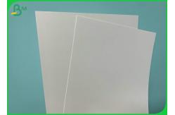 China 790mm Width 185gsm 235gsm PE Coated Cup Paper For Hot Coffee Cups supplier
