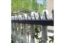 China 4 Foot Fence Security Spikes ISO9001 supplier
