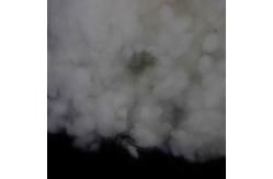 China Recycled Conjugated Polyester Fiber 32mm Pure White Hollow Conjugated PSF supplier