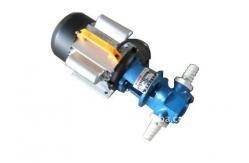 China fuel oil transfer electric handle gear pump supplier