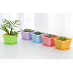 Vegetable Garden PP Resin Not Brittle Round Flower Pots 9x6x8cm for sale