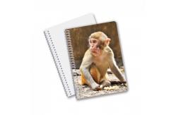 China A5 A4 Standard Cheap 3D Notebook Customizable 3D Lovely Panda Journal Notebook supplier