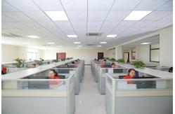 China Cat6A Ethernet Patch Cable manufacturer