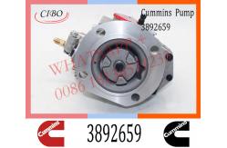China Diesel Injection For Cummins NTA855 PT Fuel Pump 3892659 3279718 4915472 4951420 supplier