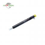 Common Rail Fuel Injector EJBR04401D A6650170221 for D27DT Engine