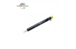 China Common Rail Fuel Injector EJBR04401D A6650170221 for D27DT Engine supplier