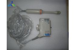 China Toshiba PVT-681MV Ultrasound Transducer 3d Picture Endovaginal Diagnostic Scanning supplier