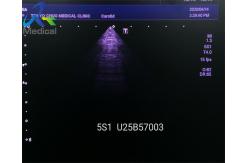 China Toshiba PSU-25BT 5S1 Sector Ultrasound Transducer Probe Diagnostic System Medical Instrument supplier