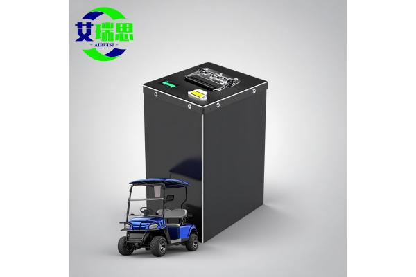 Deep Cycle Rechargeable 24v 25.6v 30Ah Trolley Cart AGV Electric Forklift Lifepo4 Lithium Battery Pack